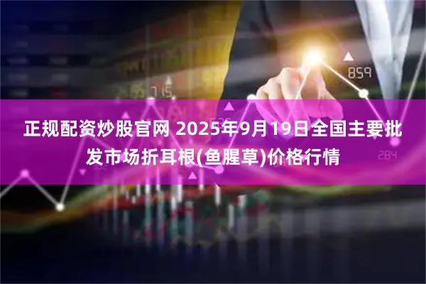 正规配资炒股官网 2025年9月19日全国主要批发市场折耳根(鱼腥草)价格行情
